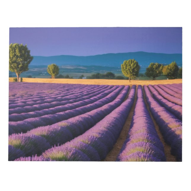 Lavendel Natur Außenwelt Landschaft Ruhe Friedlich Notizblock (Vorderseite)
