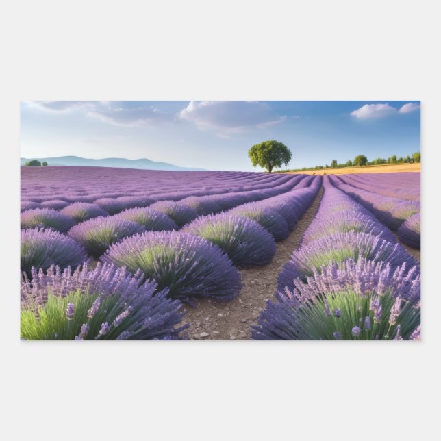 Lavendel Natur Außenwelt Landschaft Ruhe Friedlich Rechteckiger Aufkleber (Vorderseite)
