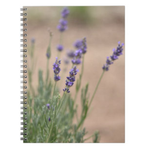 Lavendel Notebook/Journal Notizblock