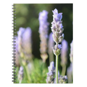 Lavendel-Notizbuch Notizblock