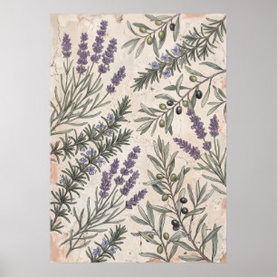 Lavendel-Oliven-Botanik-Kunstposter Poster