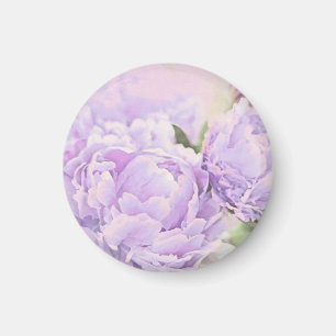 Lavendel-Pfingstrosen Magnet
