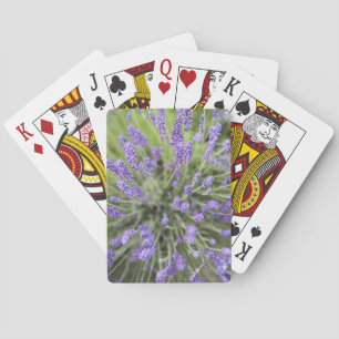 Lavendel-Pflanze Spielkarten