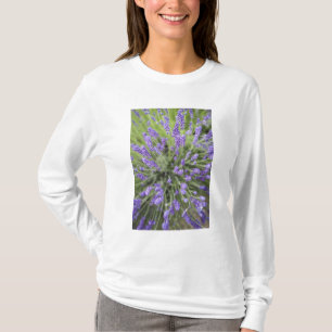 Lavendel-Pflanze T-Shirt