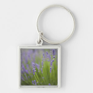 Lavendel Pflanzen 2 Schlüsselanhänger