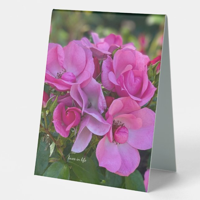 Lavendel Pink Rose Tischaufsteller (Vorderseite)