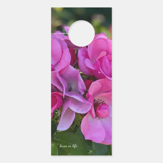Lavendel Pink Rose Türanhänger (Vorderseite)