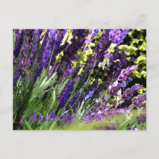 Lavendel Postcard Postkarte