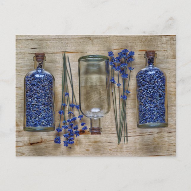 Lavendel Postkarte (Vorderseite)