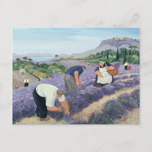 Lavendel Postkarte