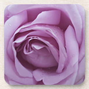 Lavendel-Rose Getränkeuntersetzer