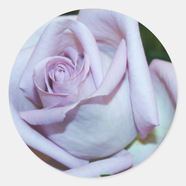 Lavendel Rose Umschlag Aufkleber & Sticker (Vorderseite)