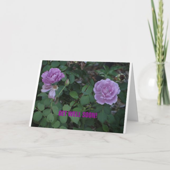 Lavendel-Rose/Wohlfühlen Karte (Vorderseite)