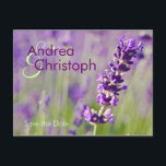 Lavendel • Save-the-Date-Postkarte Ankündigungspostkarte<br><div class="desc">"Lavendel" Save-the-Date-Postkarte / Hochzeitsvorankündigung. Informieren Sie Freunde oder Verwandte frühzeitig über Ihre bevorstehende Hochzeit!</div>