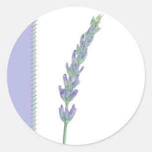 Lavendel-Sprig-Aufkleber Runder Aufkleber