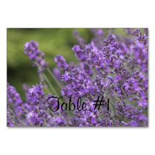 Lavendel Tischnummer