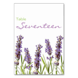 Lavendel-Tischnummer Tischnummer