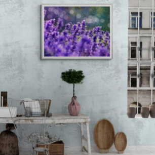 Lavendel-Träume Fotodruck