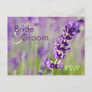Lavendel ・ UAWG Postkarte