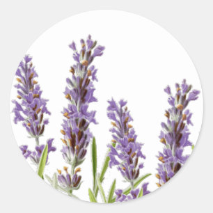 Lavendel-Umschlag Aufkleber-Aufkleber Runder Aufkleber
