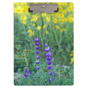 Lavendel und Gelbblüte Klemmbrett