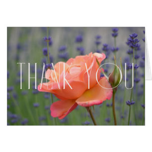 Lavendel und Rose Vielen Dank