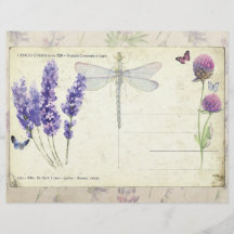 Lavendel und Schmetterlinge Vintages Postkartenpap