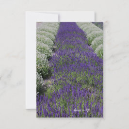 Lavendel und Weiße Reihen Mitteilungskarte