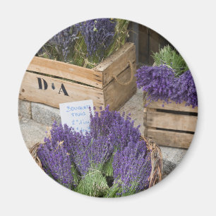 Lavendel zum Verkauf, Provence, Frankreich Magnet