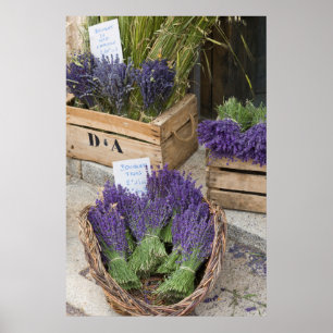 Lavendel zum verkauf, Provence, Frankreich Poster
