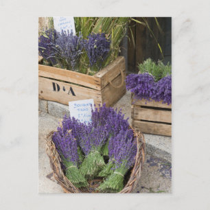 Lavendel zum verkauf, Provence, Frankreich Postkarte