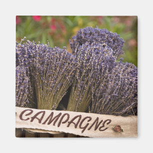 Lavendelbänder, Vence, Provence, Magnet