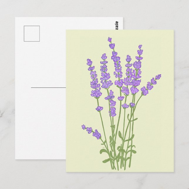 Lavendelblumenstrauß. Postkarte (Vorne/Hinten)