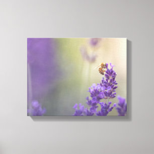 Lavendelblüten-Honigbiene Naturfoto Leinwanddruck