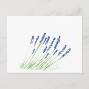 Lavendelblüten Lila Floral Wasserfarbe Postkarte