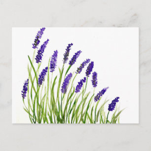 Lavendelblüten Wasserfarbe Lila Floral rustikal  Postkarte