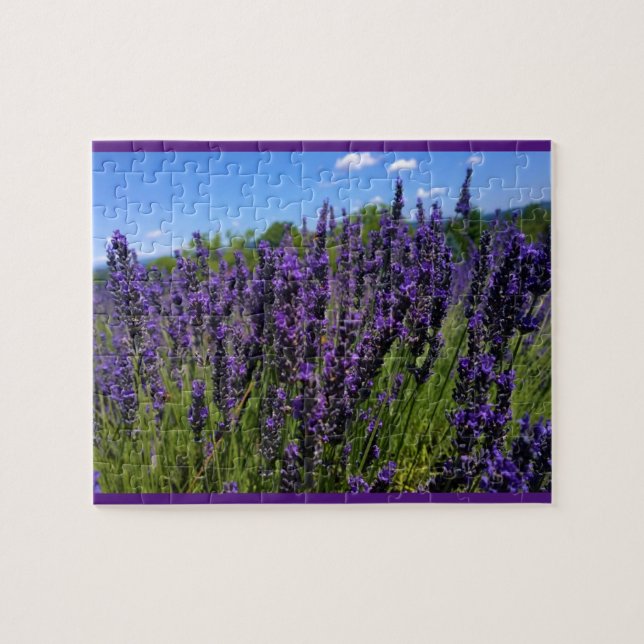 Lavendelfarm (Horizontal)