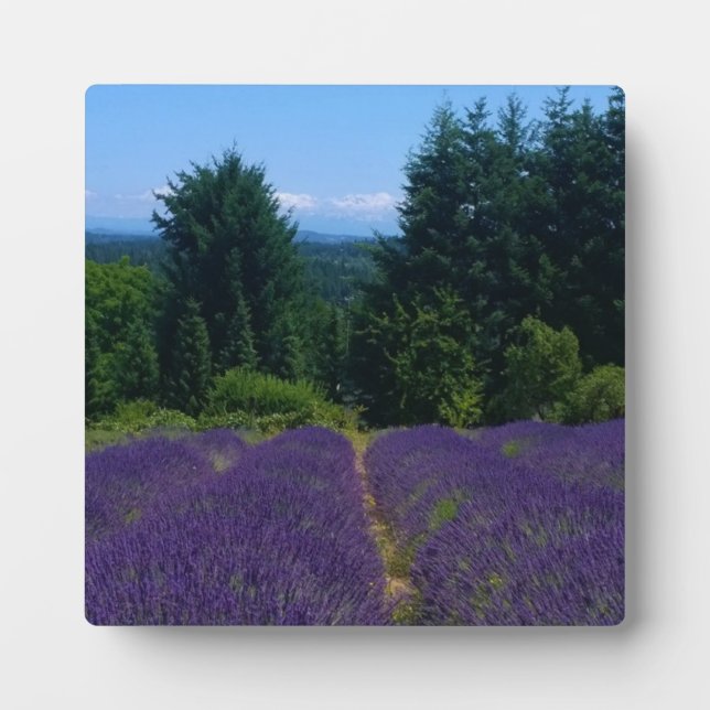 Lavendelfarm Fotoplatte (Vorderseite)