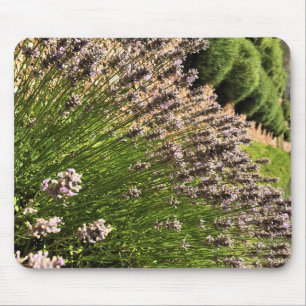 Lavendelfarm Mousepad