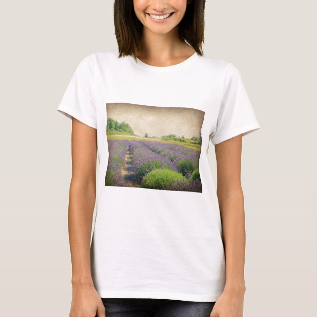 Lavendelfarm - Not T-Shirt (Vorderseite)