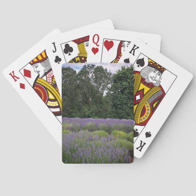Lavendelfarm Spielkarten (Rückseite)