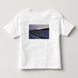 Lavendelfeld am Sonnenuntergang Kleinkind T-shirt