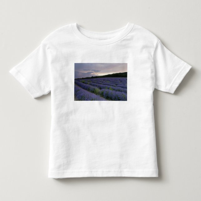 Lavendelfeld am Sonnenuntergang Kleinkind T-shirt (Vorderseite)