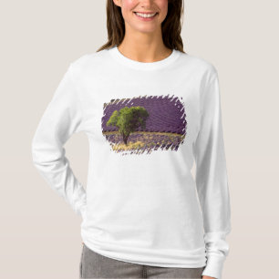 Lavendelfeld in der Haute-Provence, Frankreich T-Shirt