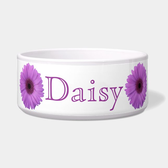 Lavendelgerbera-Gänseblümchen Napf (Vorderseite)