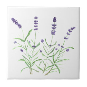 Lavendelkraut botanische Blumen lila Aquarell Fliese