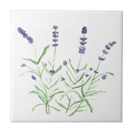 Lavendelkräuter botanische Blume lila Wasserfarbe Fliese