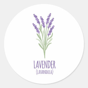 LavendelLavandula Runder Aufkleber