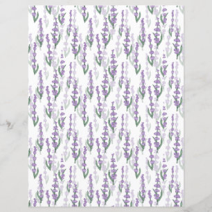 Lavendelprovenz lila Blume