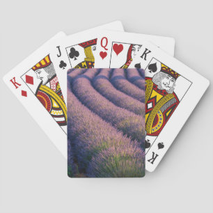 Lavendelreihen in der Provence Spielkarten